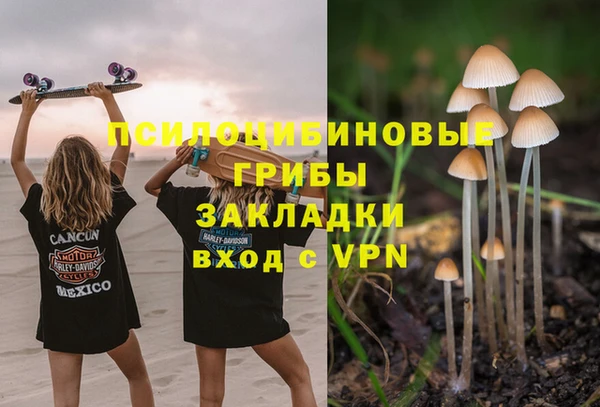 гидропоника Арсеньев