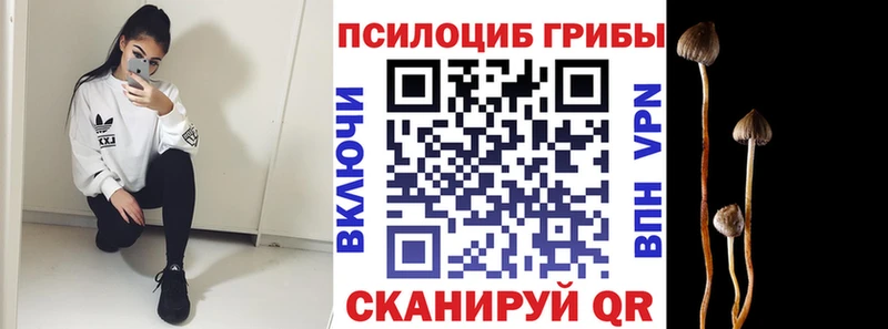 даркнет сайт  Строитель  Галлюциногенные грибы Psilocybe 